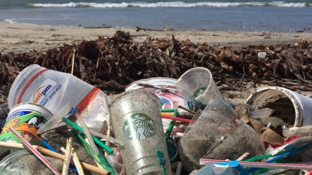 Why Plastic Straws Are Just Now Being Banned