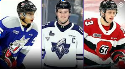 The 2020 NHL Draft- Who Are The Top Three?