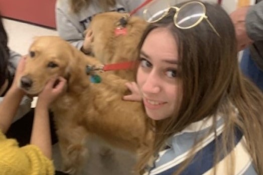 Eve and Sky are two therapy dogs that come into South Windsor High School for students to pet and enjoy when feeling stressed.