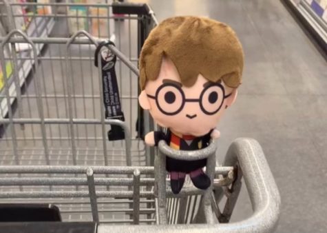 Little Potter going for a ride at the grocery store for some butter beer. With the release of the new MAX series, fans are eagerly anticipating a new chapter in the beloved story.

