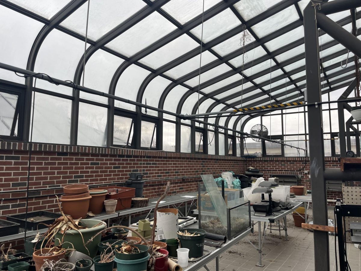 The South Windsor High School greenhouse, in the science wing of the school building, mid-day in the winter.