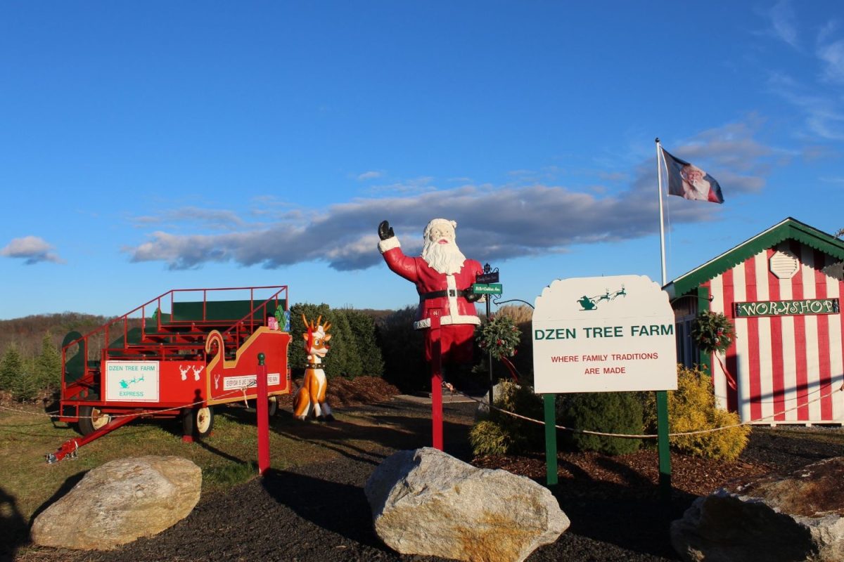 A broad view of the Christmas display at the farm.