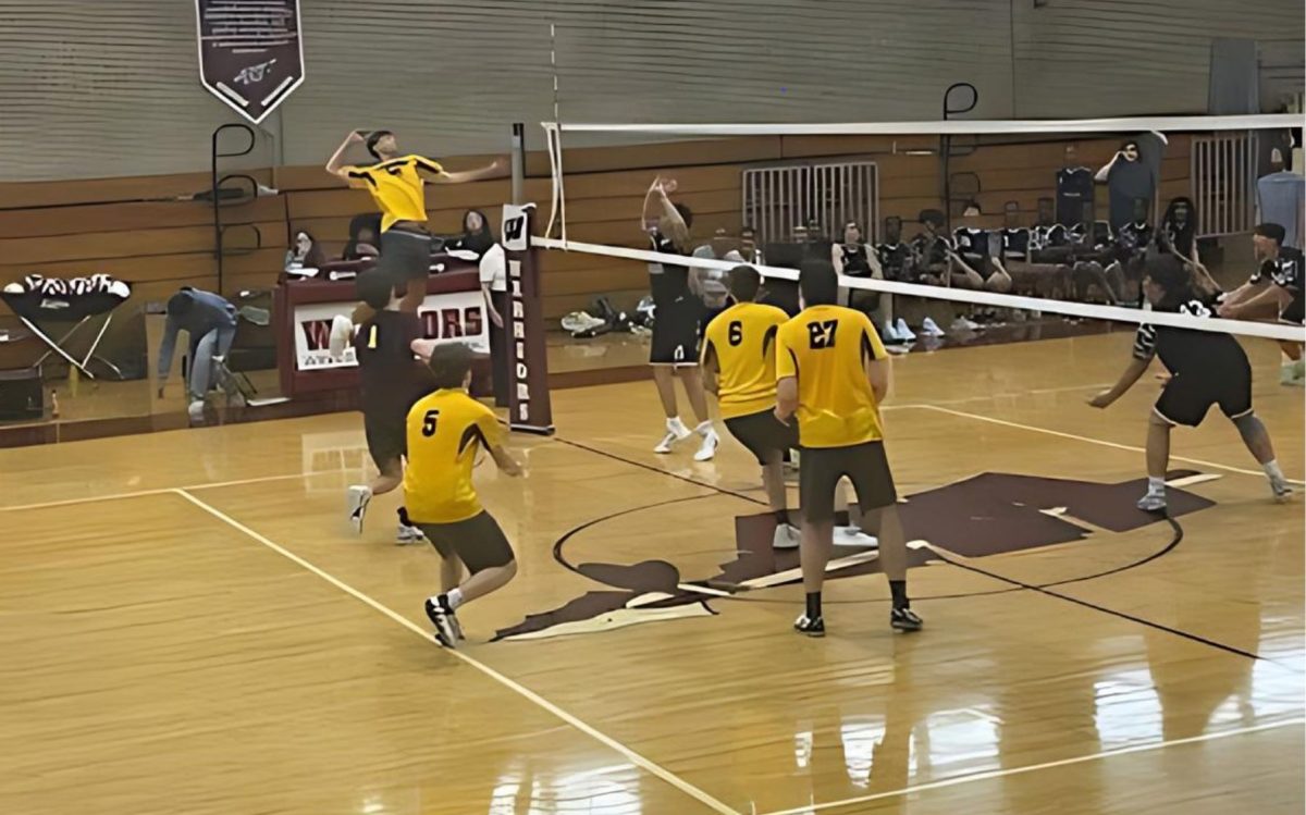 Alex Ezedine spiking a volleyball over the net against Newington