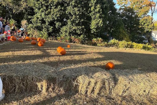 One of the heats in the pumpkin rolling contest at Porter Hill in South Windsor.