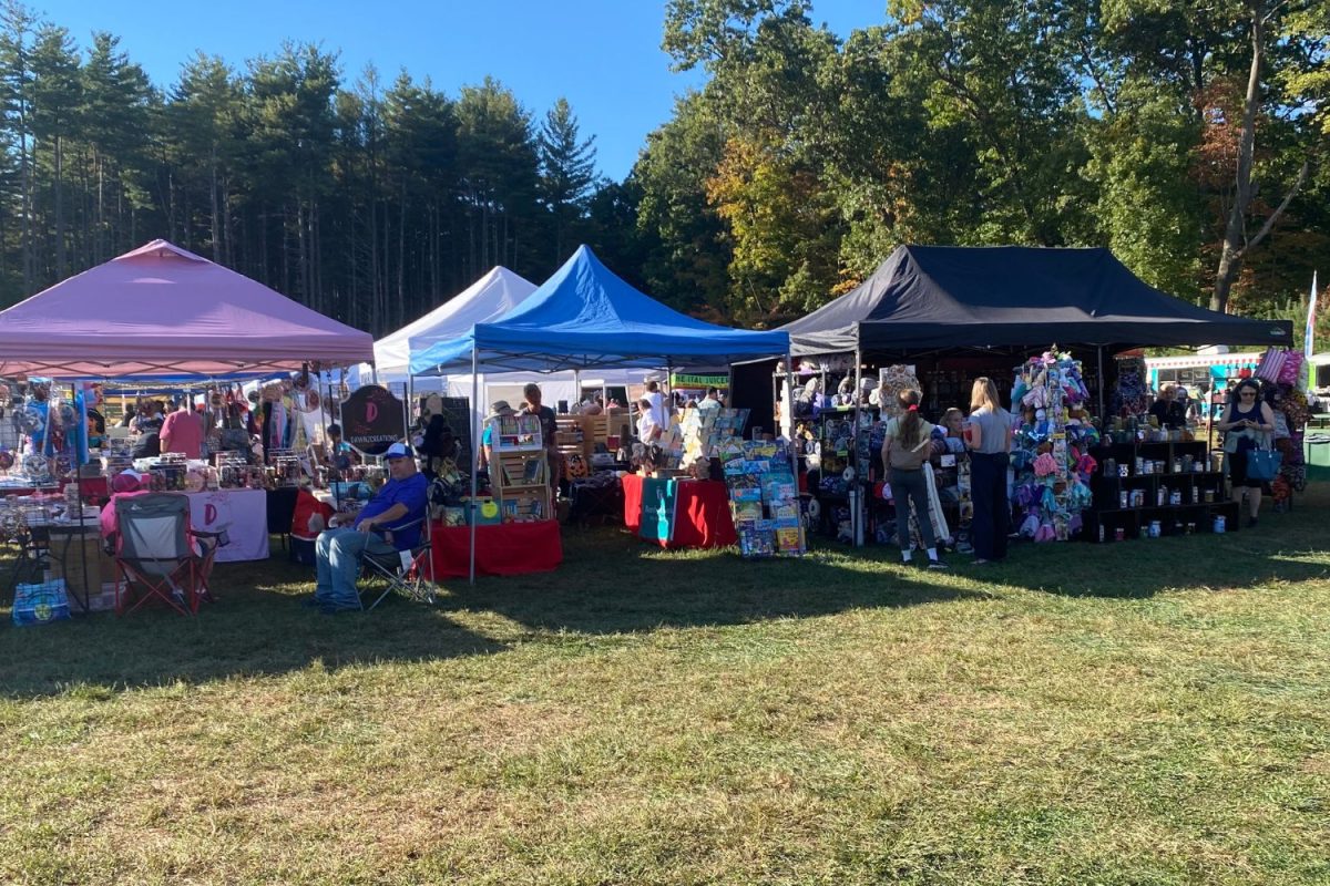 Vendors lined the paths through the fair selling everything from clothing to homemade candles and everything in between. 