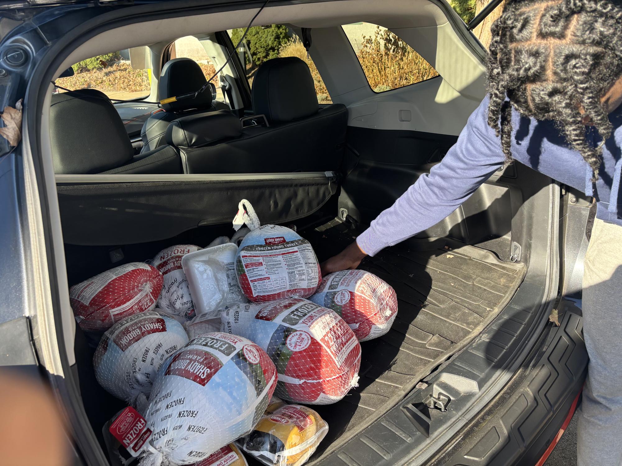 Bobcats and Turkeys Team Up for Thanksgiving