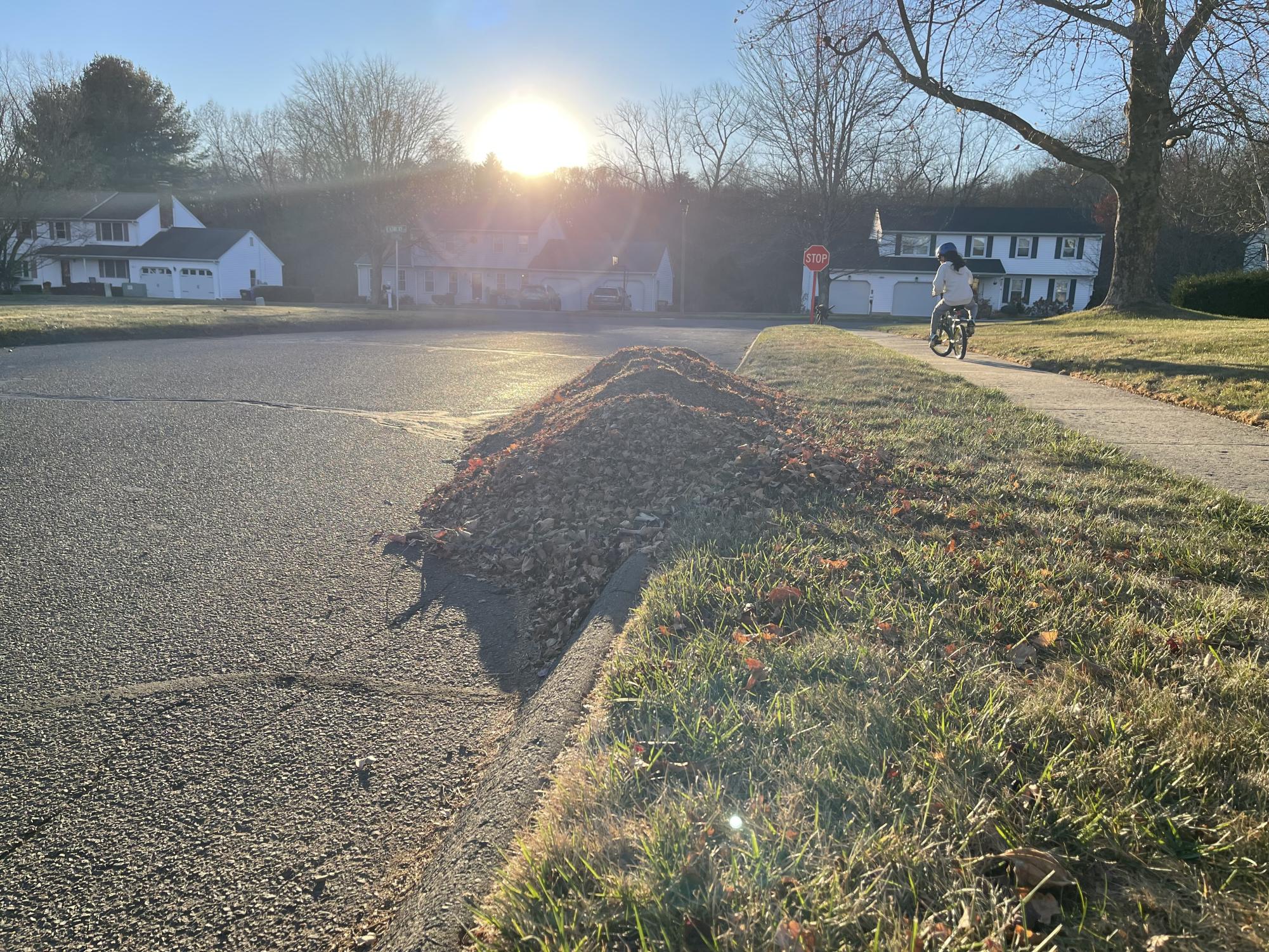 Leaves raked into piles wait on the side of the road for the annual leaf collection run by the Town of South Windsor.