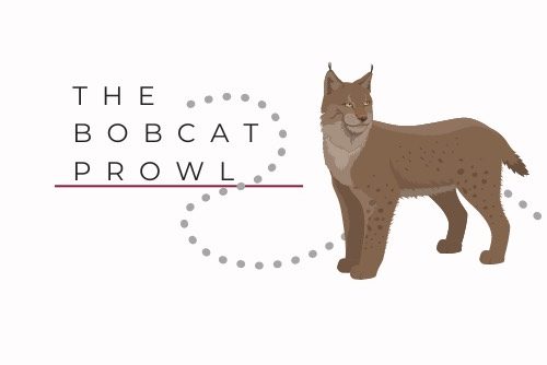 South Windsor High School's student news source, The Bobcat Prowl's logo. (Canva)