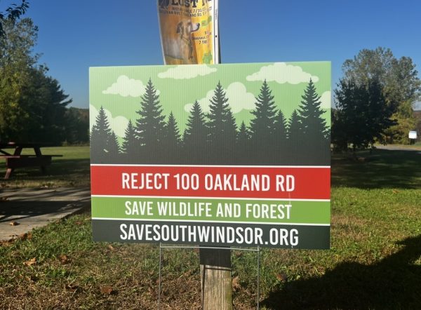 Local protesting in the form of yard signs has spread throughout South Windsor.