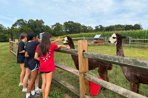 Annual Cross Country Practice at Foster Farm