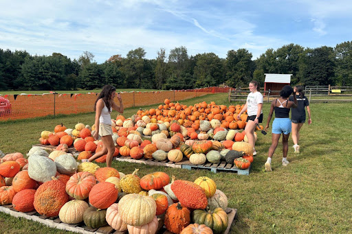 Four of the girls browsing the pumpkin selection at the farm.