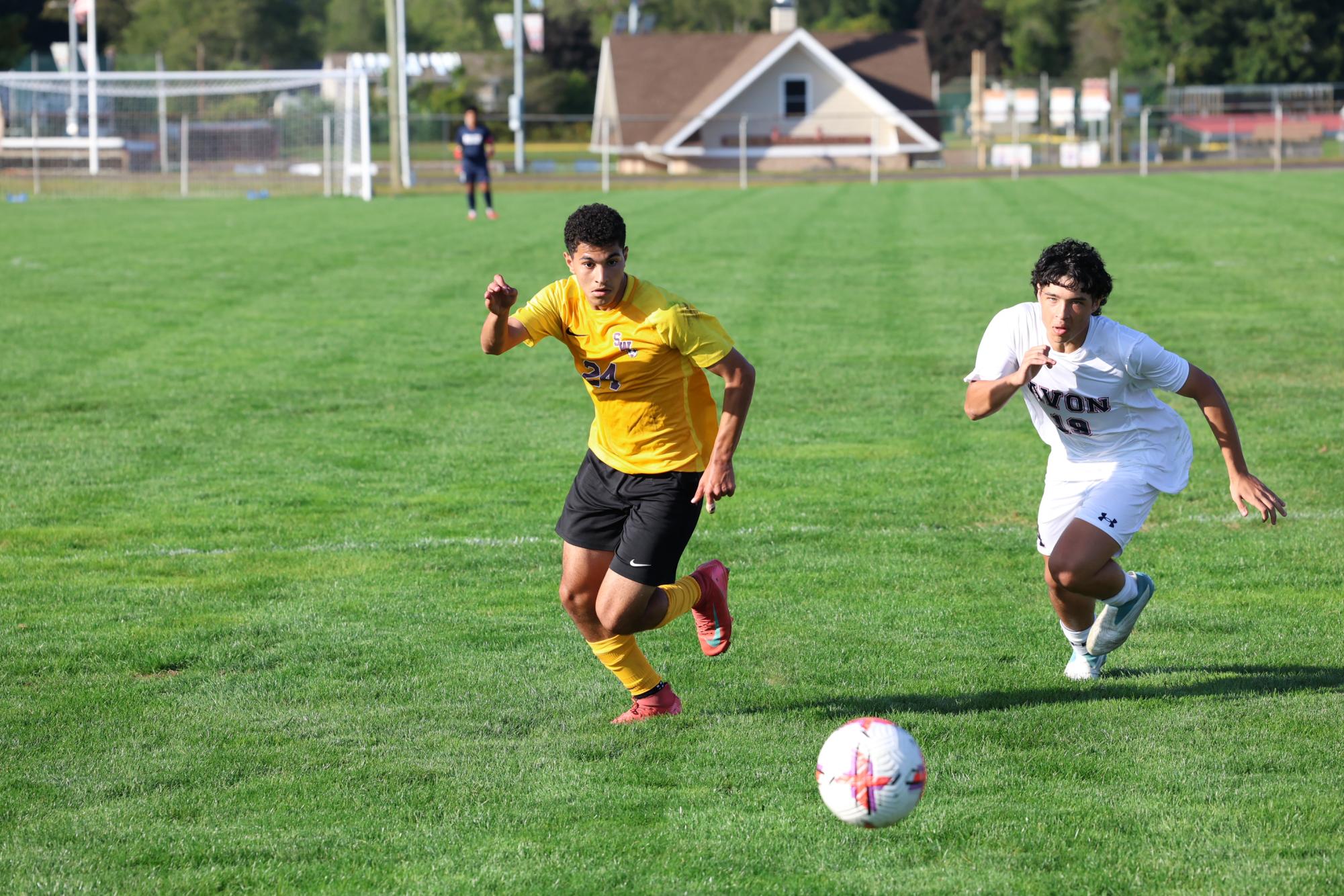 Controversial Call Contradicts ‘Cats in Season Opener