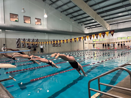 Swimmers take off from the block and dive into the water. 