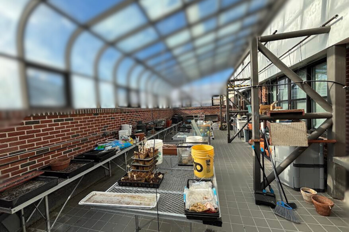 Uncleaned green house in the science wing before green house event.