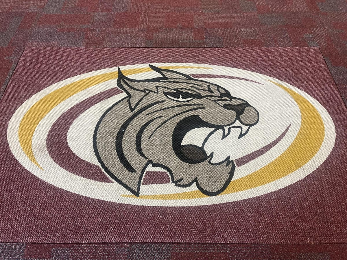 South Windsor High school's entry way where the bobcat appears on the ground. 