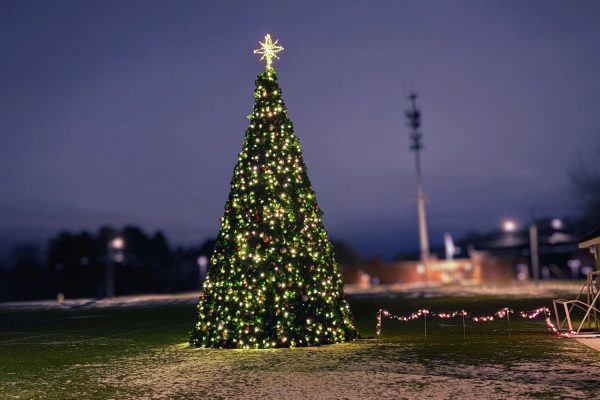 South Windsor Christmas tree decorated with lights and ornaments at Nevers Park 