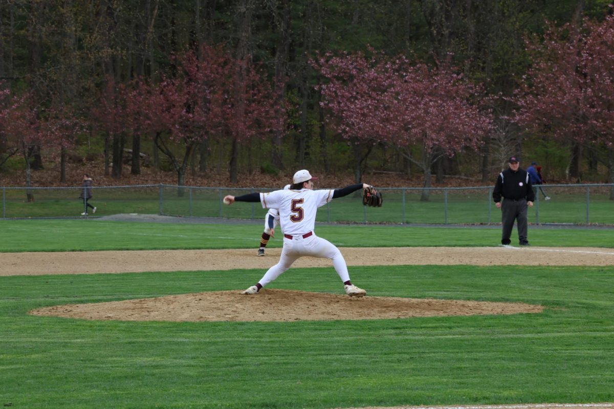 SWHS senior Brayden Edwards fires a pitch during his complete game shutout over Hall.